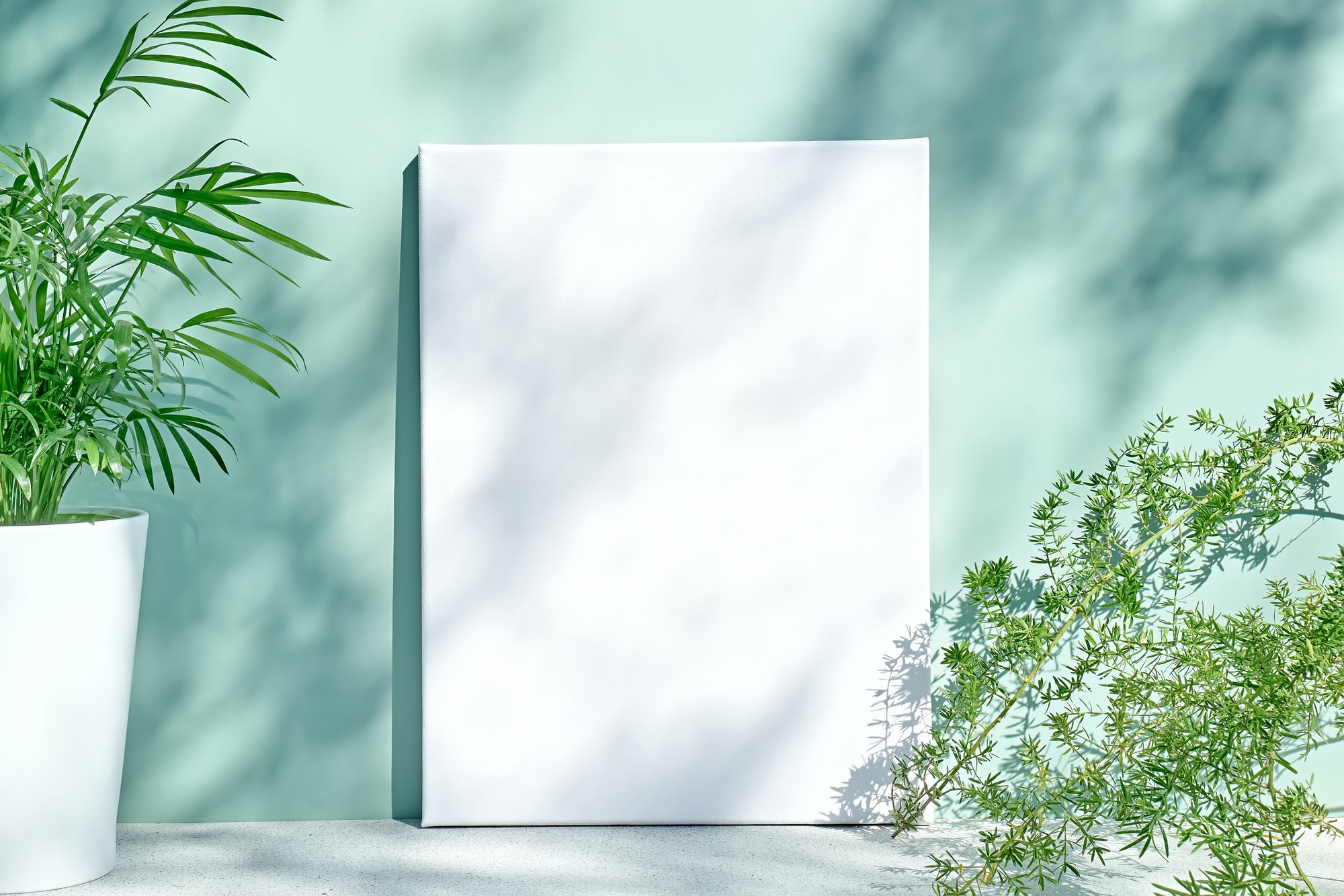 Blank white drawing canvas on mint colored surface with palm, home plants and soft floral shadows.